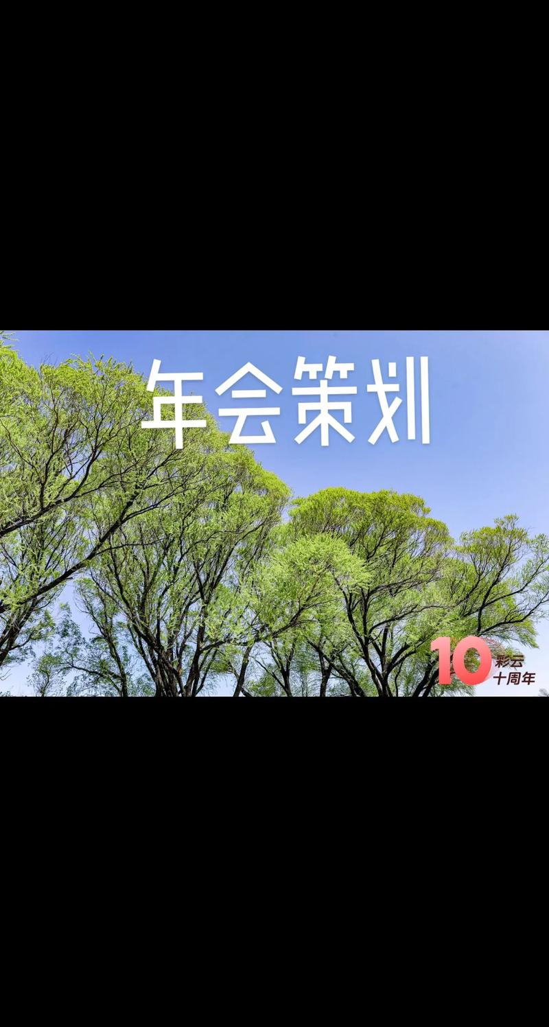 公关活动执行:策划与实践的艺术